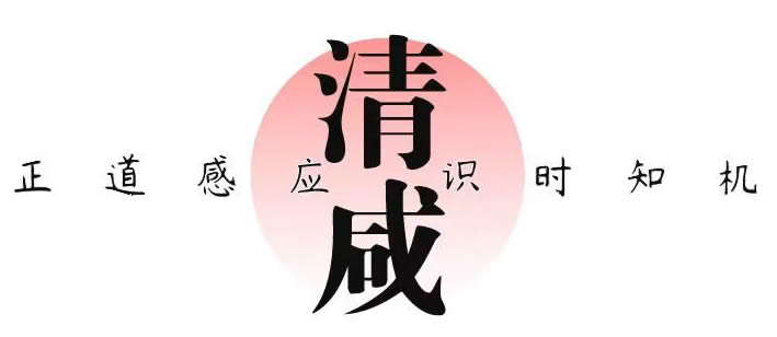 清咸（宁波）企业管理咨询有限公司