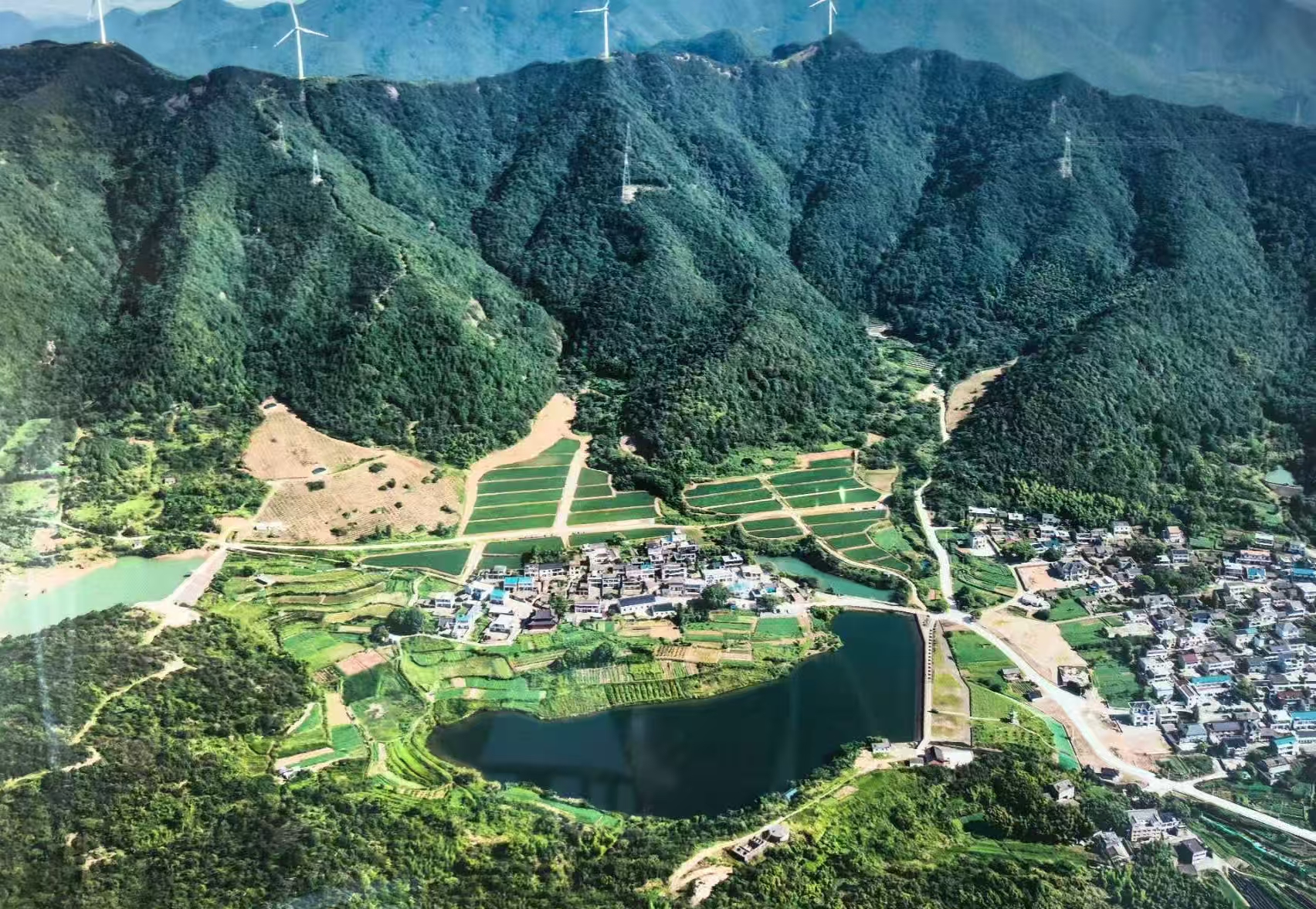 在“生长化收藏”的周期轮回中生存与繁荣